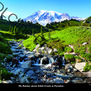 2025  Wall Calendars