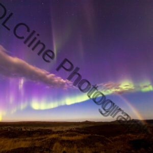 Aurora Moonbow