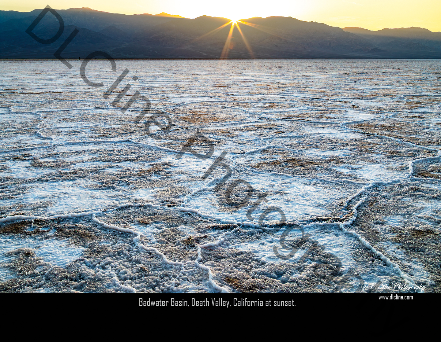 2026 Wall Calendars - Image 2