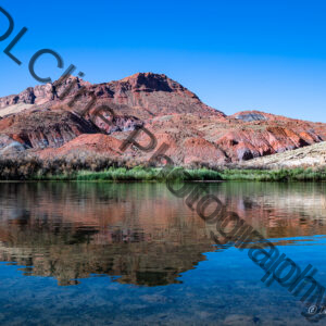 Colorado River Reflections