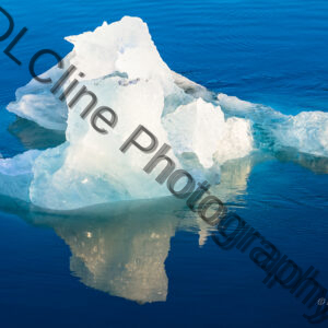 Floating Ice