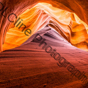 Golden Glow - Rattlesnake Canyon