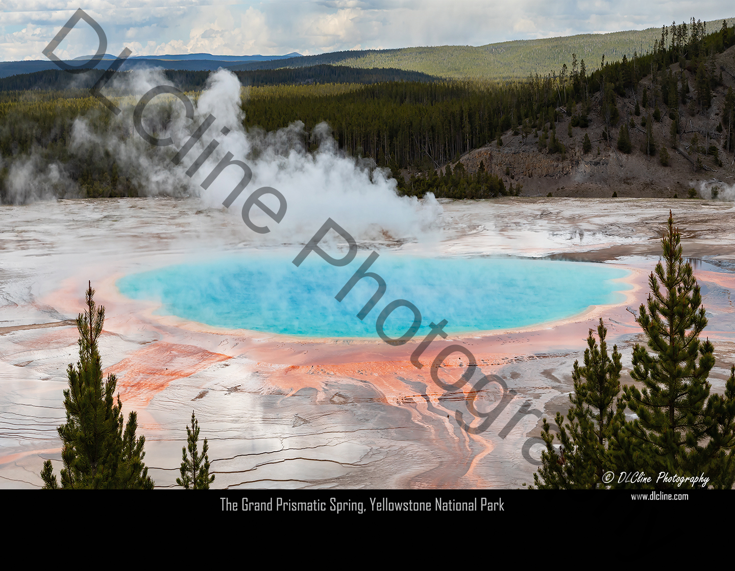 2026 Wall Calendars - Image 3