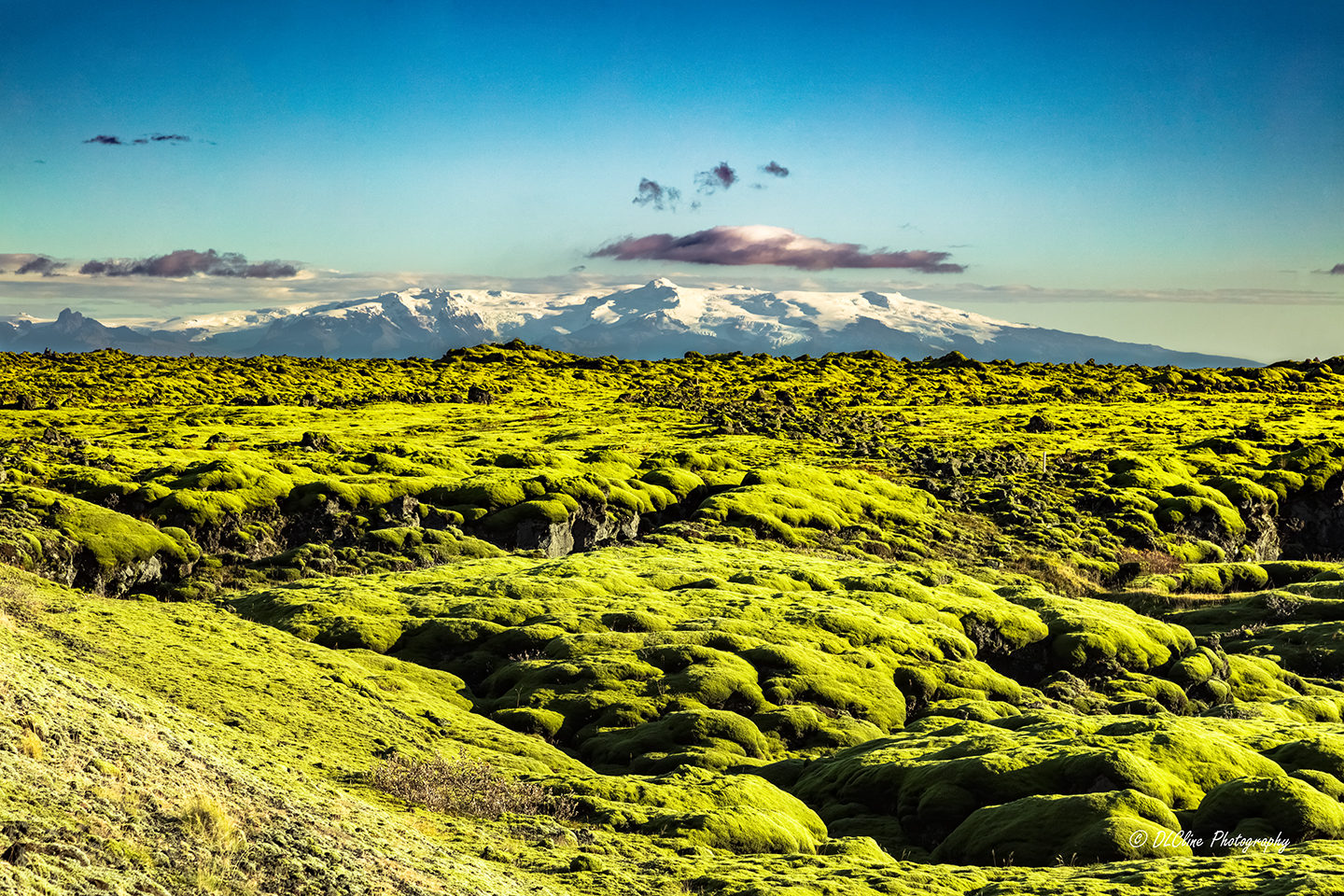 Moss Covered Lava Fields
