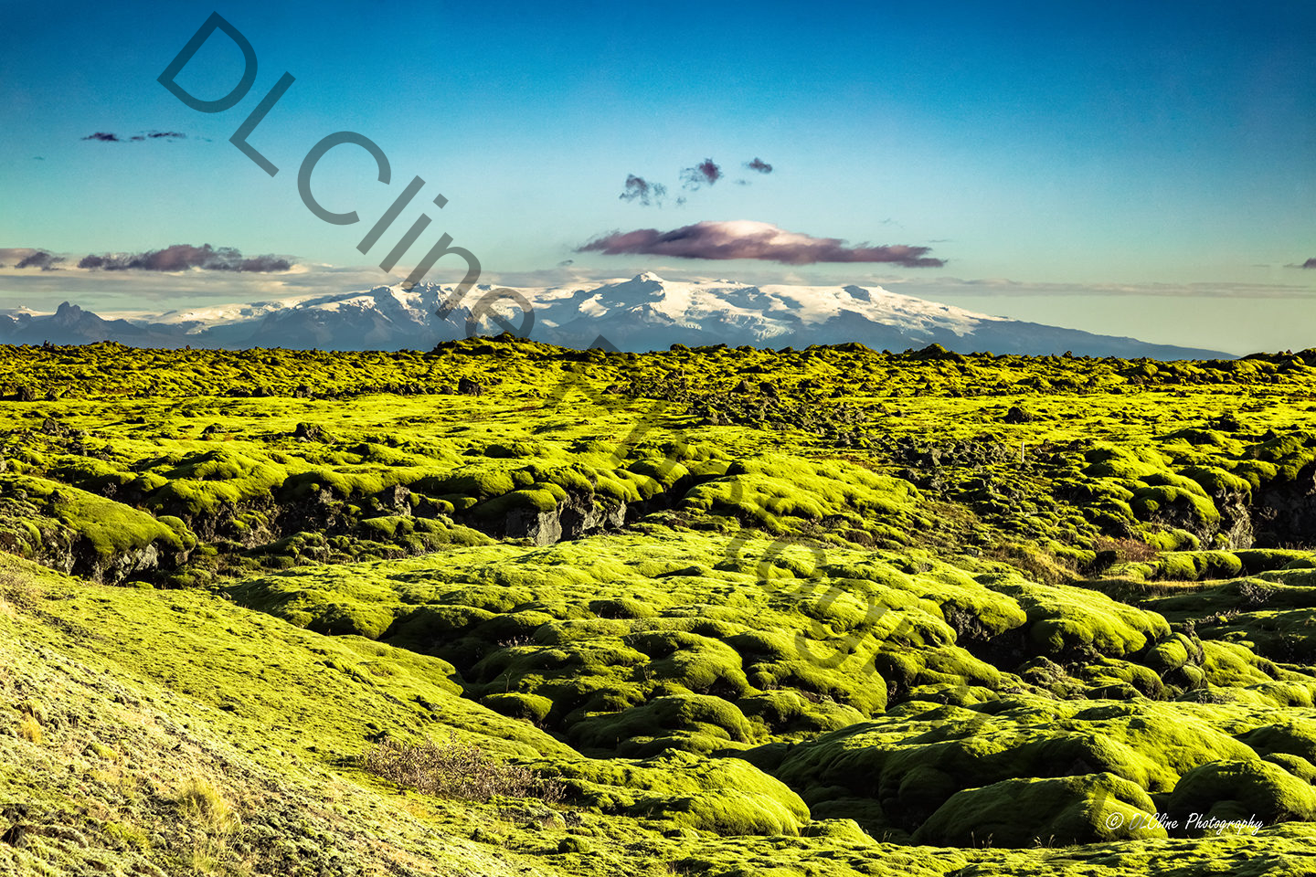 Moss Covered Lava Fields