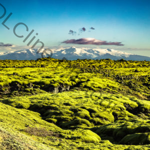 Moss Covered Lava Fields