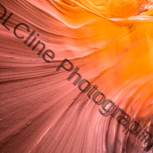 Mountain Sheep Canyon