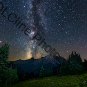 Mt Rainier Sunrise Meadow at Night