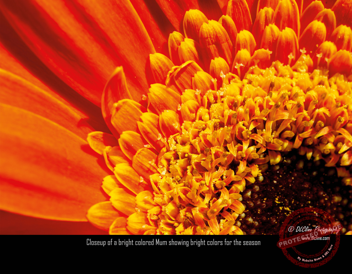 2026 Wall Calendars - Image 6