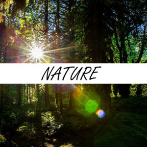 Nature Prints