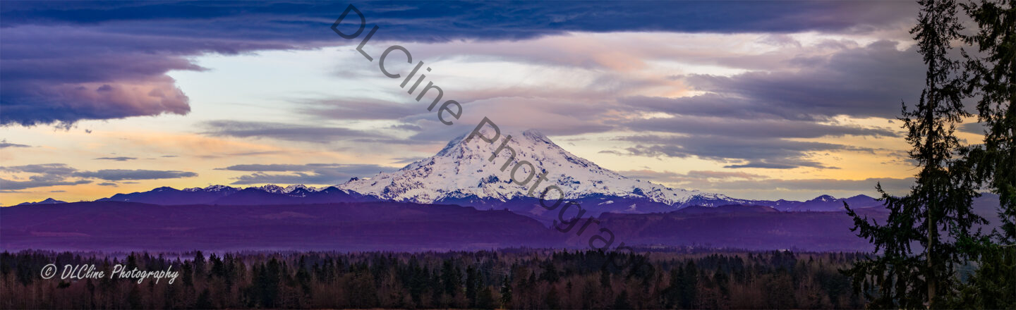 Purple Mountain Majesty