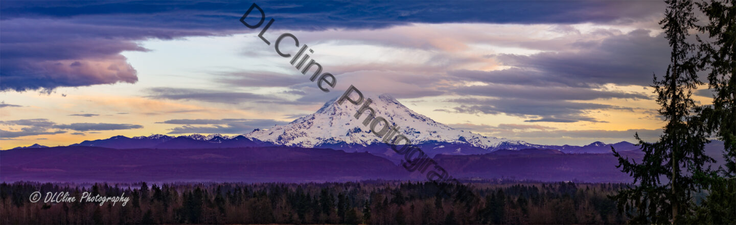 Purple Mountain Majesty