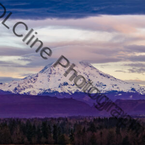 Purple Mountain Majesty