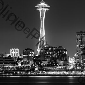 Space Needle