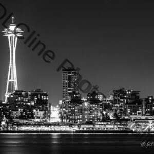 Space Needle City