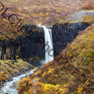 Svartifoss in Fall