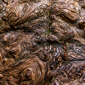 Swirling Nature - Limited Edition