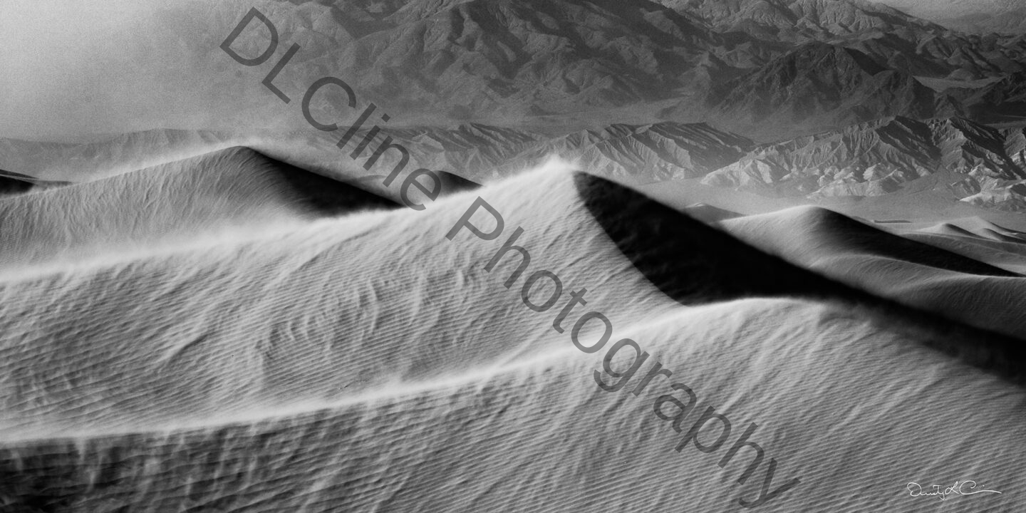 The Sandstorm - Limited Edition